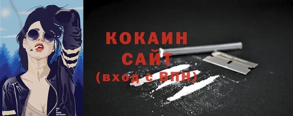 прущий лед Алзамай