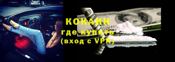 молекула духа Алексин