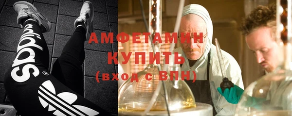 молекула духа Алексин