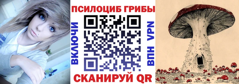 Псилоцибиновые грибы GOLDEN TEACHER  маркетплейс наркотические препараты  Балашов  мега вход 