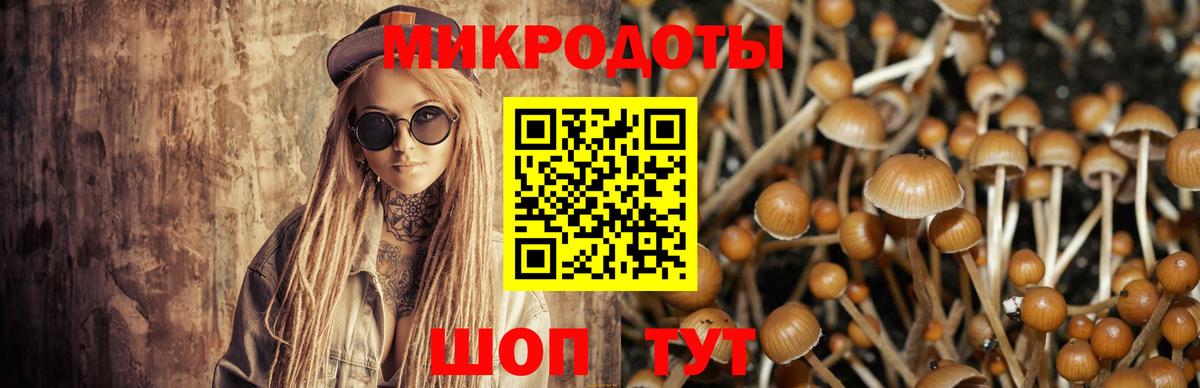 Галлюциногенные грибы Cubensis Балашов