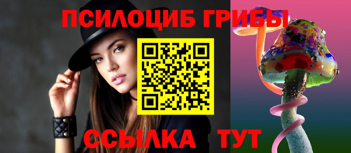 Псилоцибиновые грибы Cubensis  Вход с VPN  Балашов 